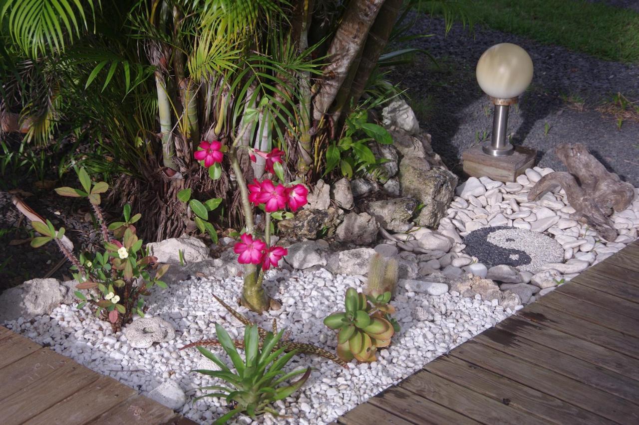 Gite Le Colibri Bungalow Azur Avec Reserve D'Eau サン・フランソワ エクステリア 写真