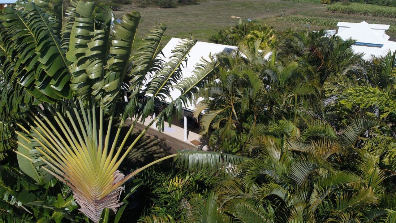 Gite Le Colibri Bungalow Azur Avec Reserve D'Eau サン・フランソワ エクステリア 写真